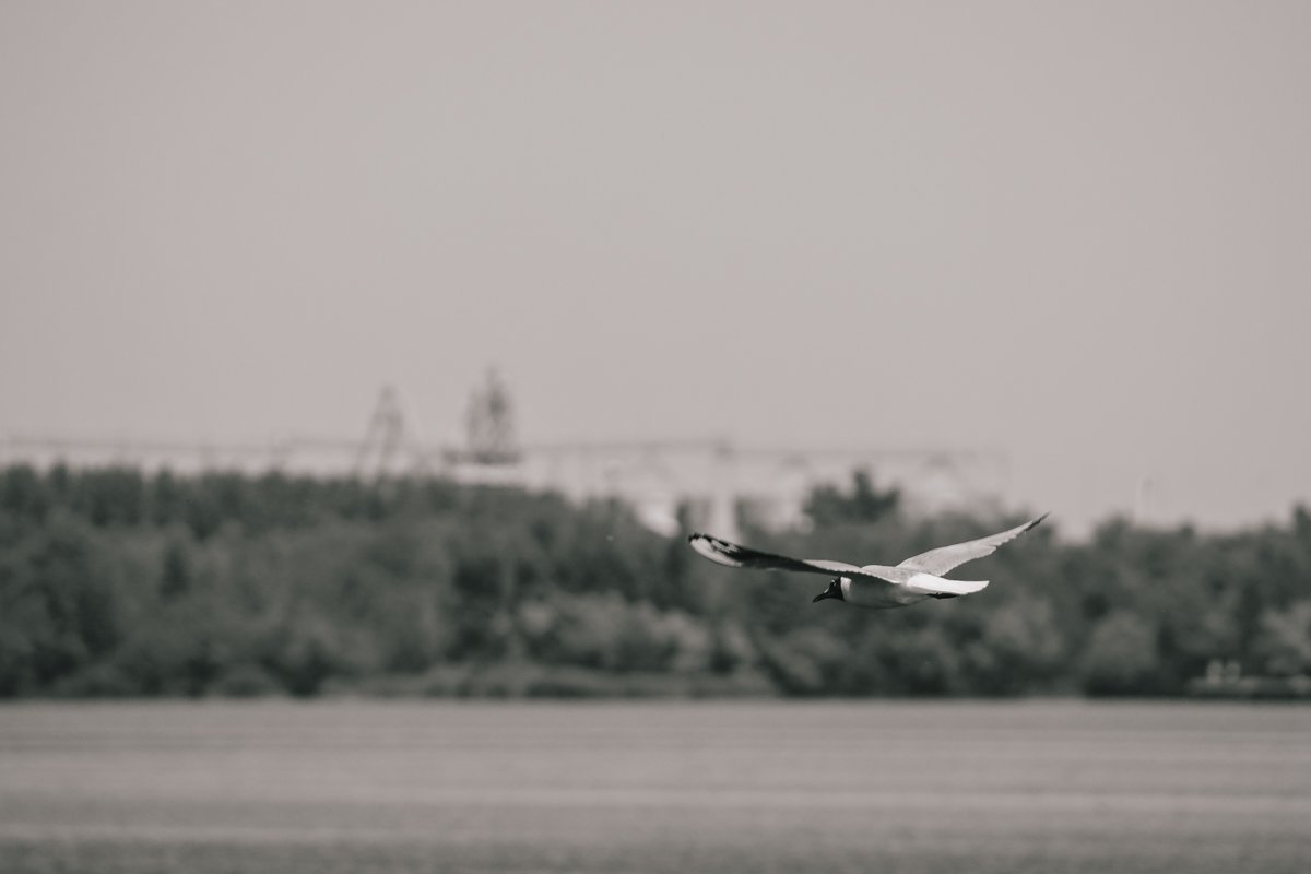 Шум волн, холодный ветер приближающейся осени, серость неба и привкус дикой свободы на губах