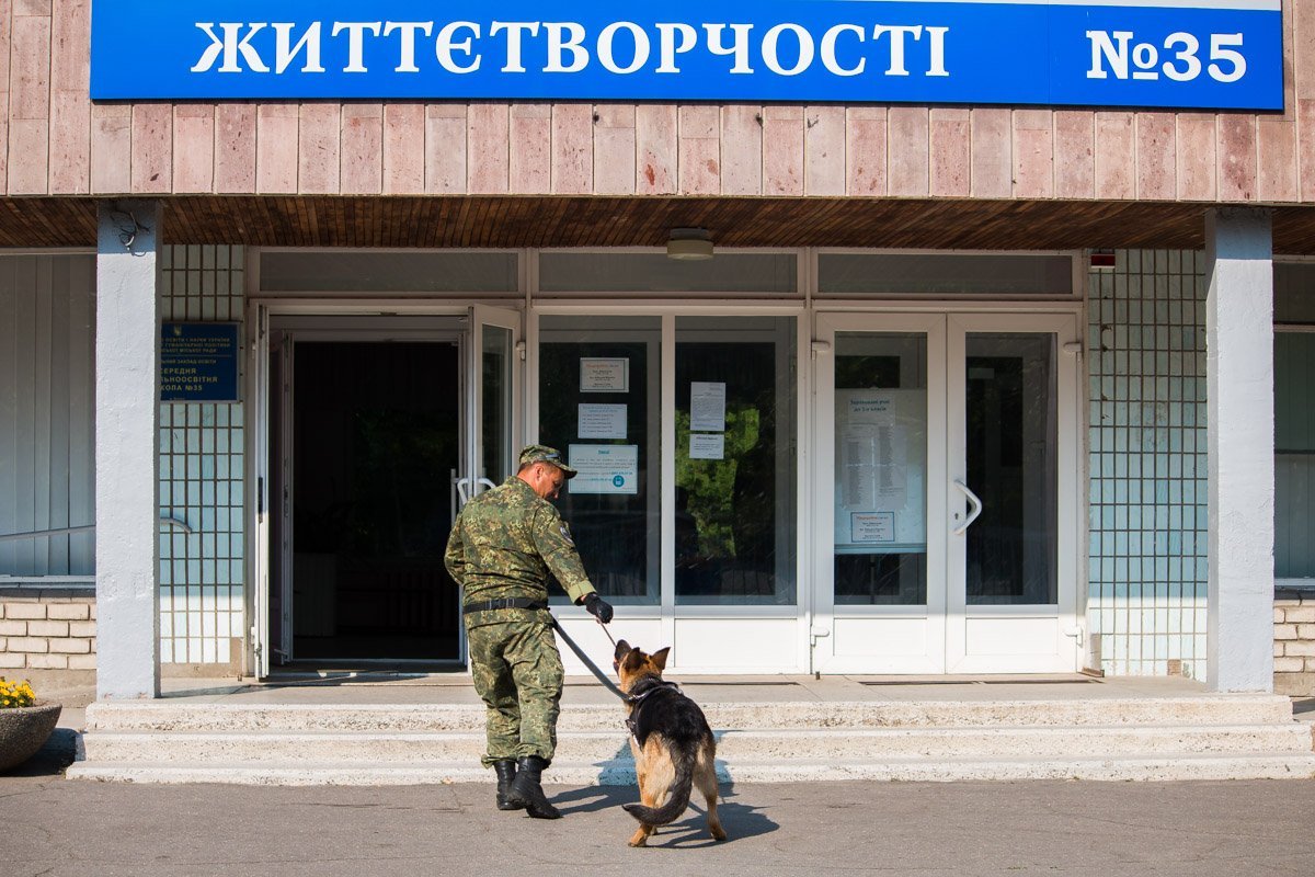 Собака - друг взрывотехника Собака - друг взрывотехника