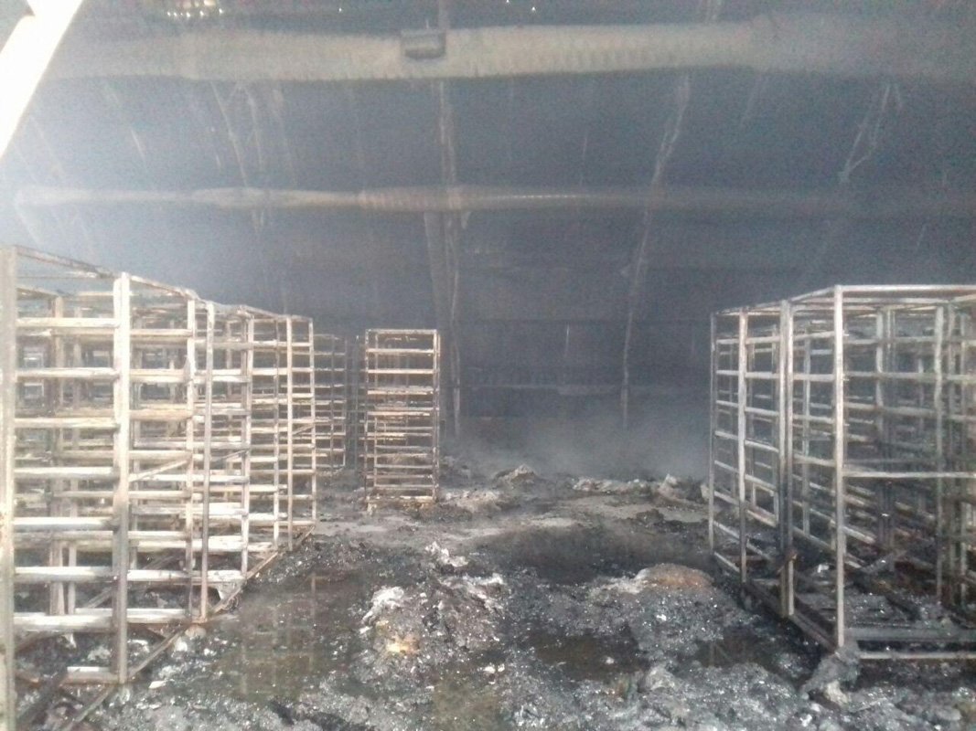 Огонь уничтожил поддоны внутри помещения