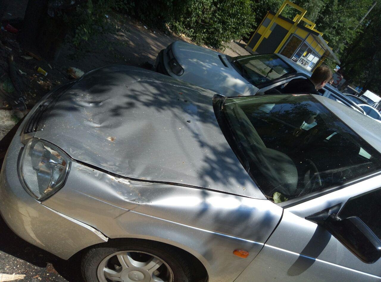 Упавшая ветка зацепила 43-летнюю женщину Упавшая ветка зацепила 43-летнюю женщину