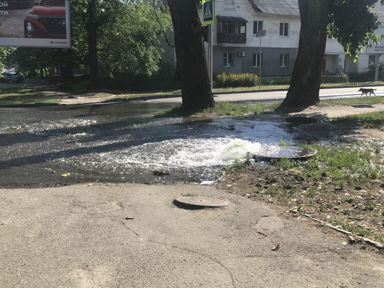 На месте еще нет представителей Горводоканала На месте еще нет представителей Горводоканала