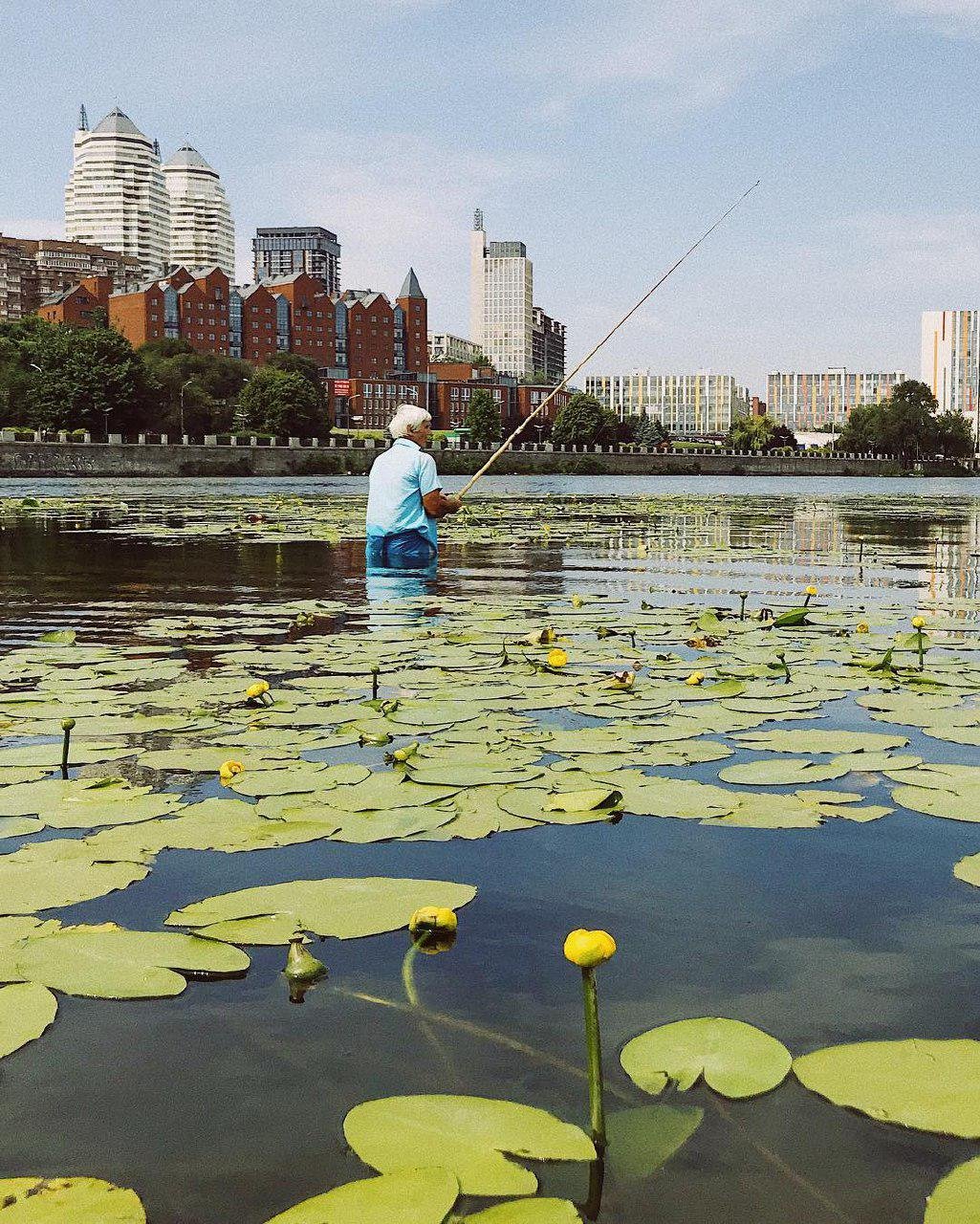 Умиротворение. Фото: kosachov_