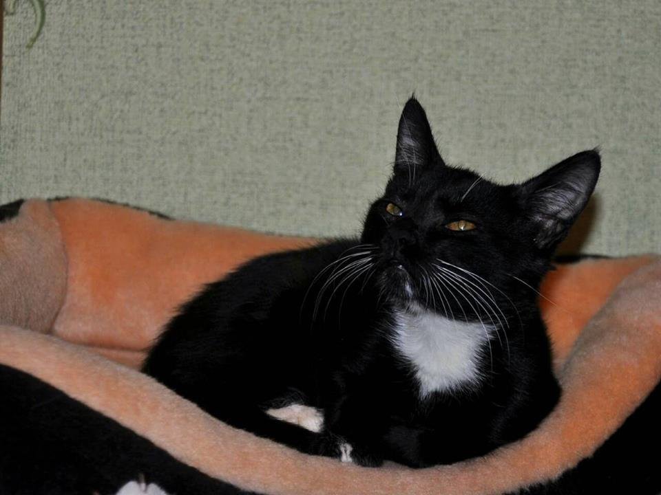 Подозреваю, что ты хочешь меня забрать себе