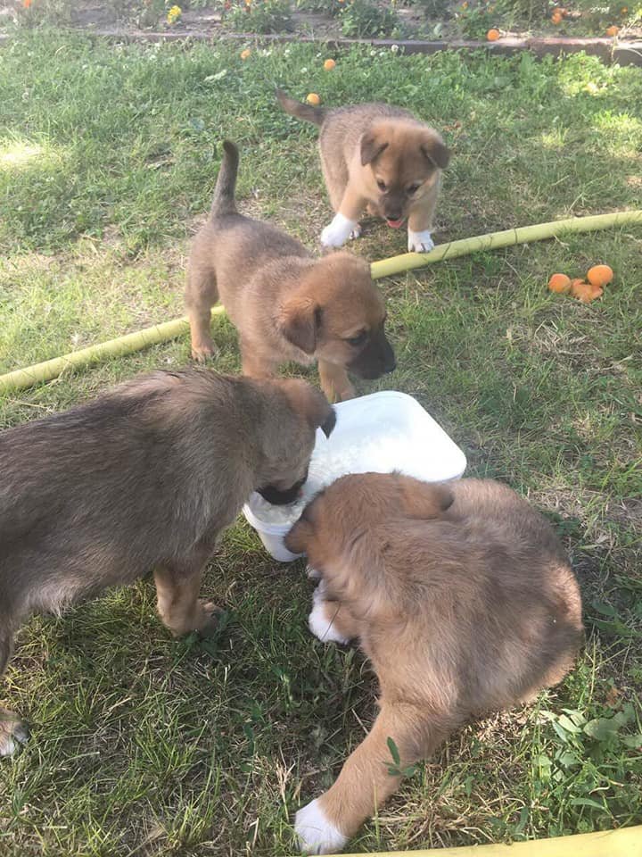 Просто забери одного