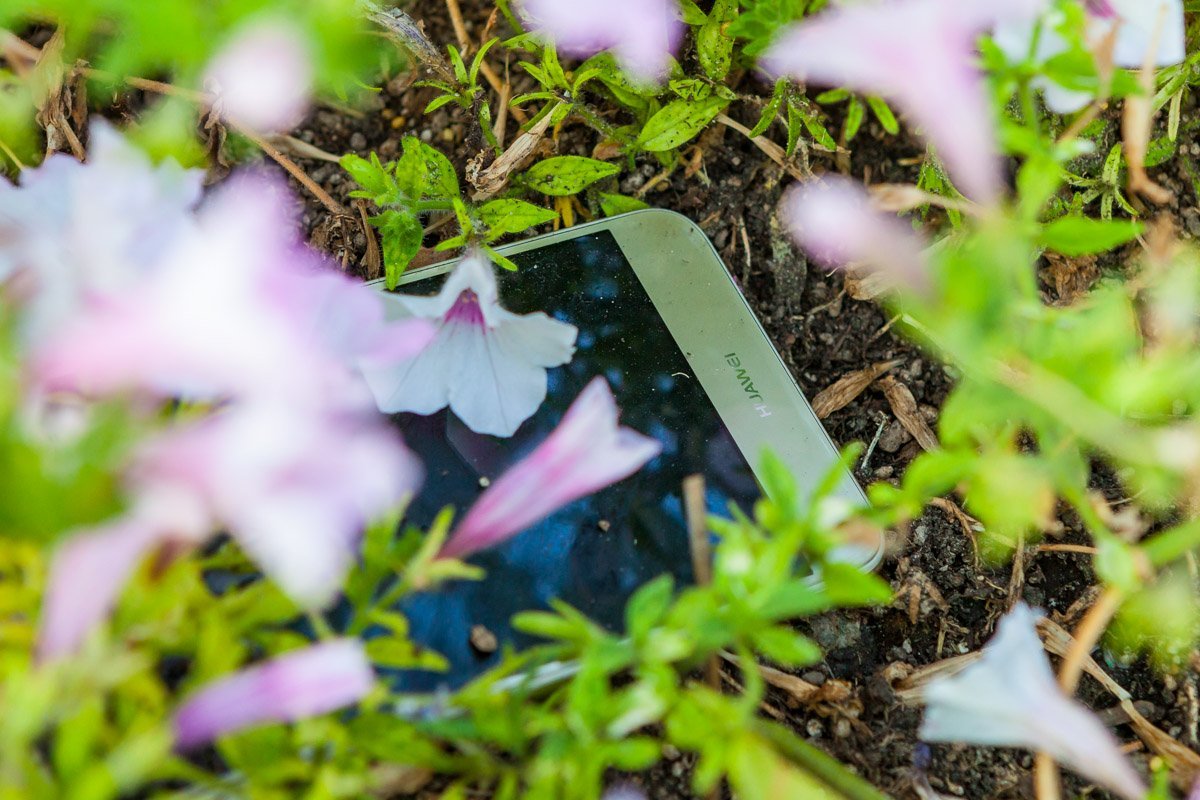 Телефон заявительницы обнаружили в клумбе возле Горсовета