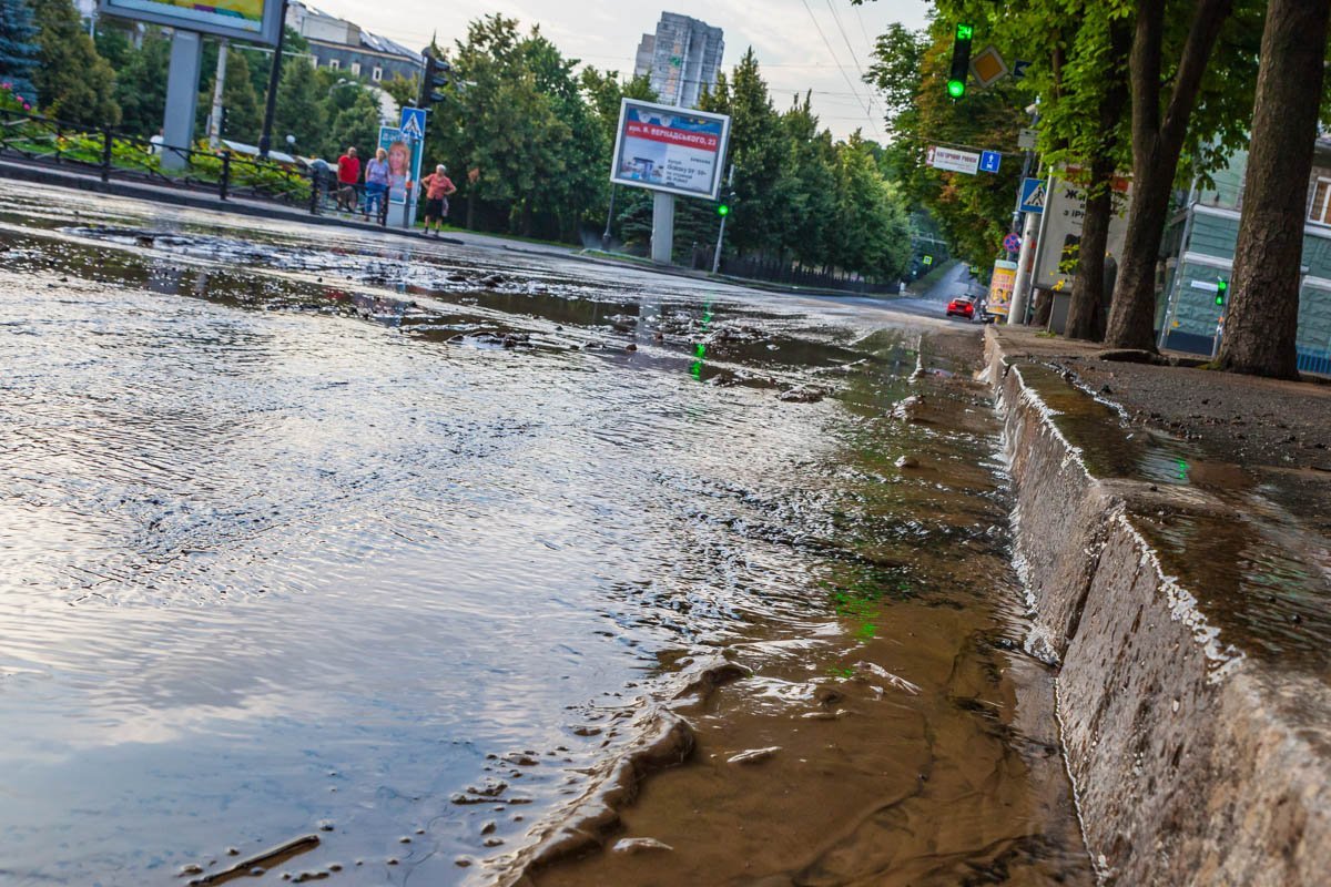 Из щелей между тротуаром и бордюром вытекала вода непонятного происхождения