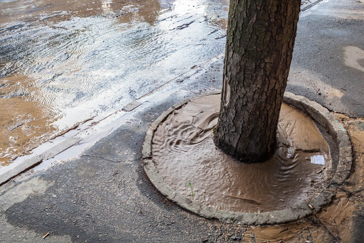 Проспект покрылся грязью