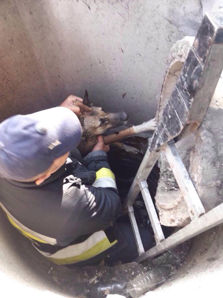 Спасатели оперативно прибыли по указанному адресу