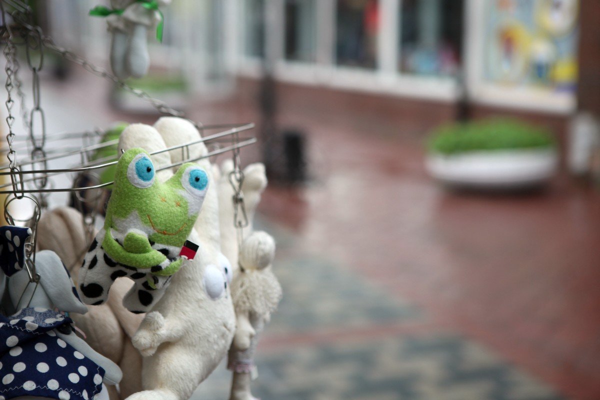 Маленький лягушонок рад непогоде