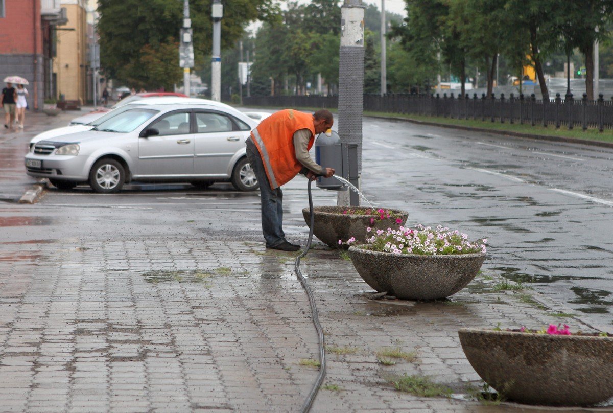 Дождь - лучшее время, чтобы поливать цветы, мыть машину и класть асфальт