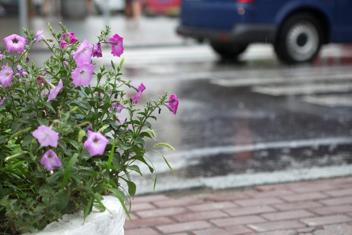 Природа радуется