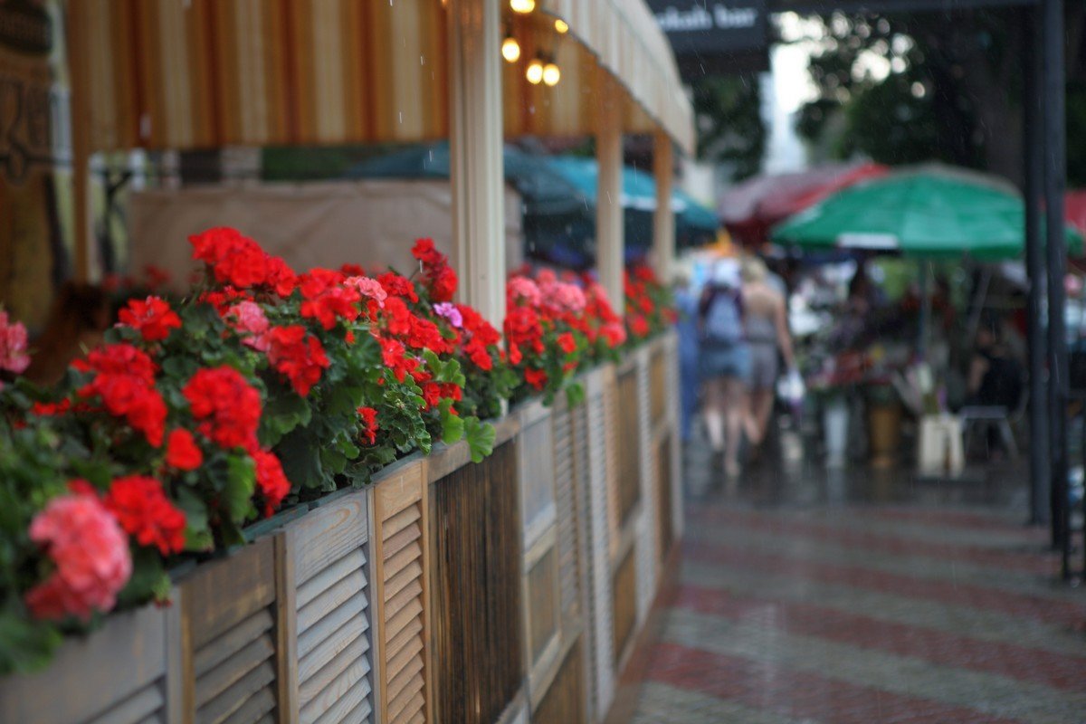 Остановитесь Остановитесь вкусить момент