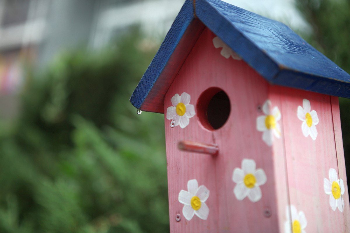 Свежесть в каждой капле