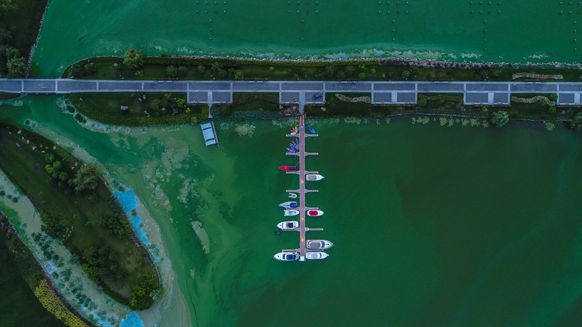 Зеленый Днепр омывает зеленый берег Зеленый Днепр омывает зеленый берег