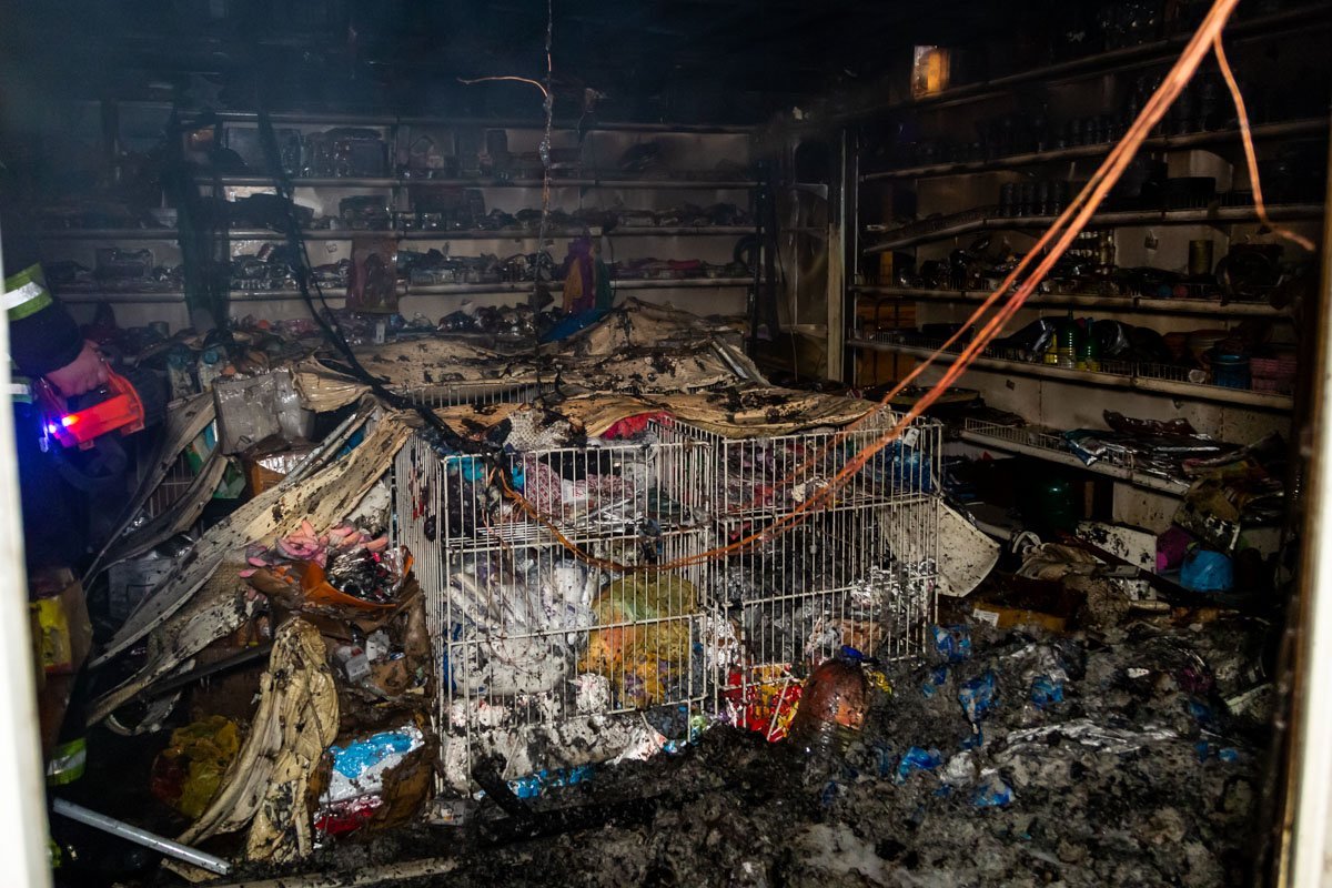 Фото: Дмитрий Федоров