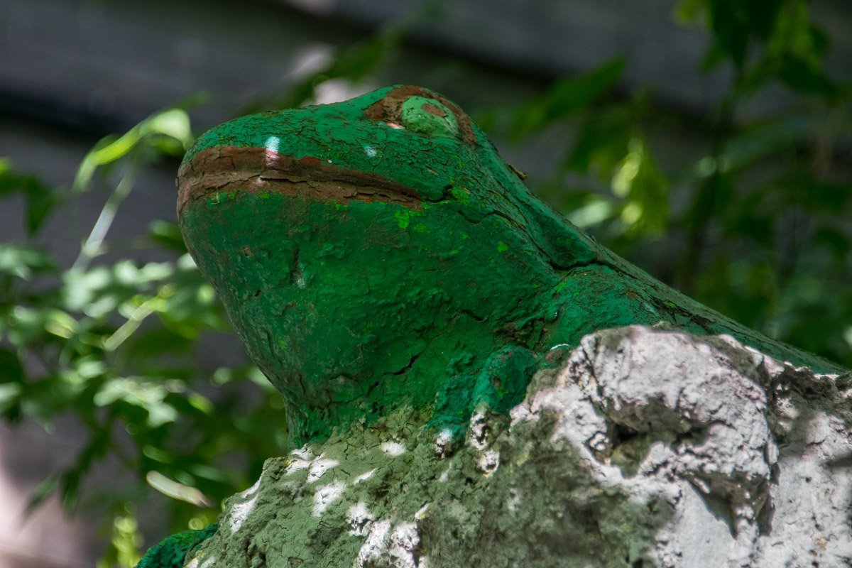 Еще в средневековье жабу связывали с черной магией