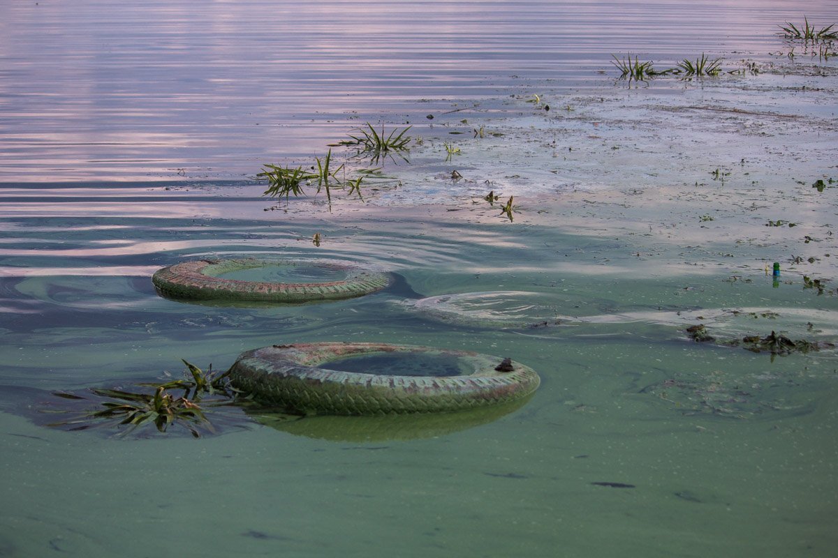 Мало было цветения, нужен еще и мусор Мало было цветения, нужен еще и мусор