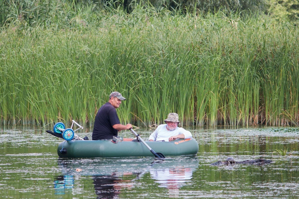 Смотри, черепашка Смотри, черепашка