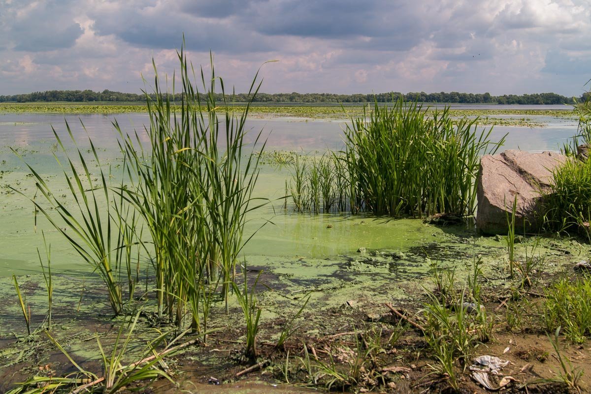 Грустненько это все Грустненько это все