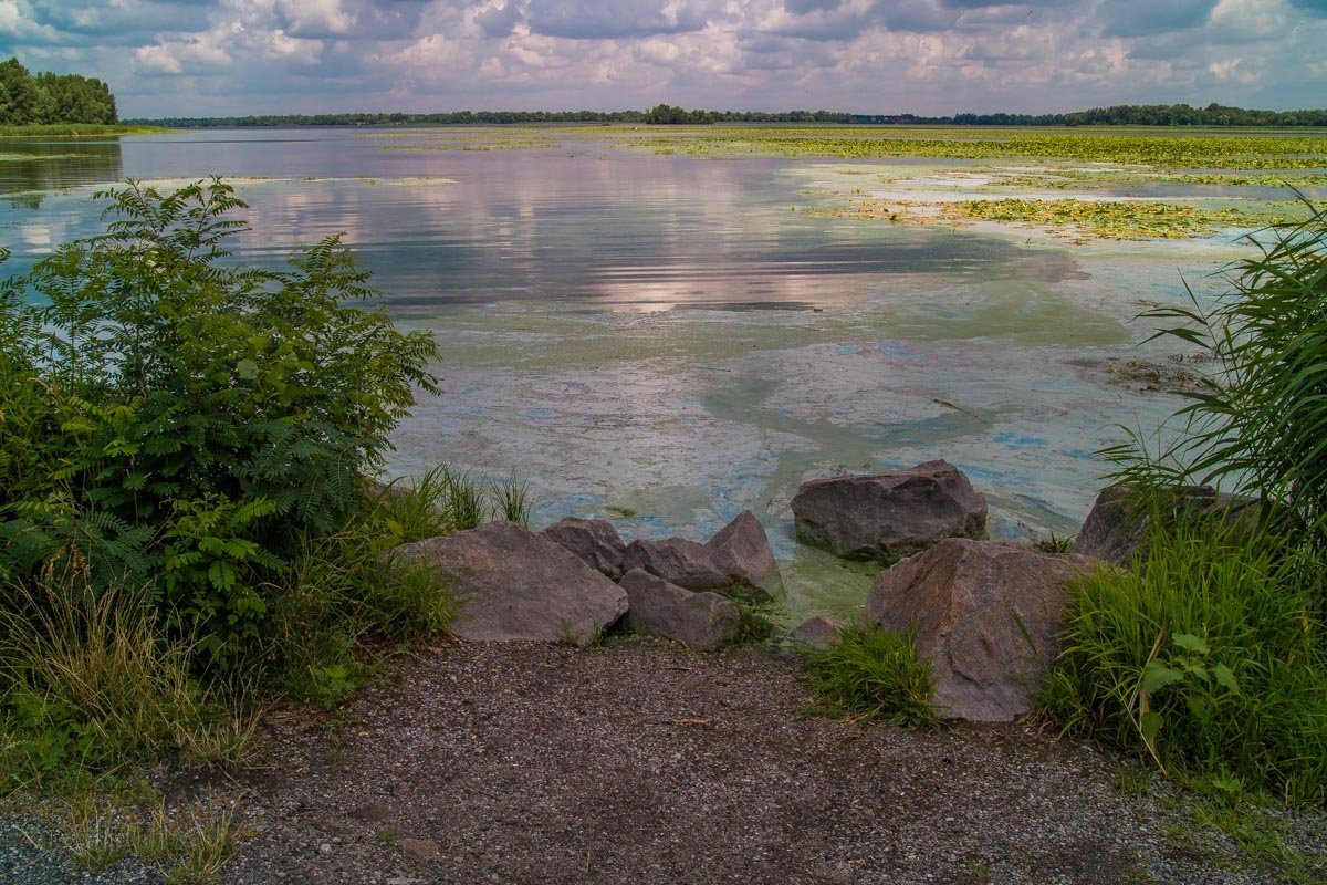 Тут больше не устроить пикник Тут больше не устроить пикник