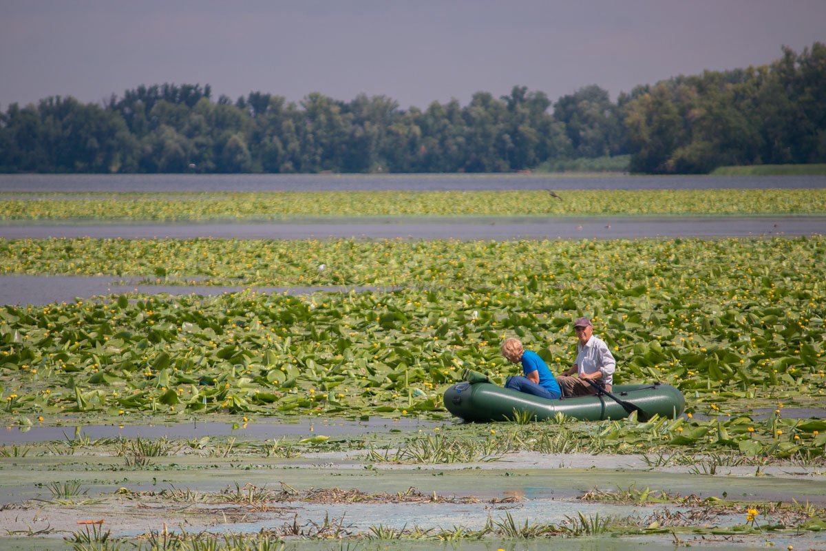 Хороший получится букет Хороший получится букет