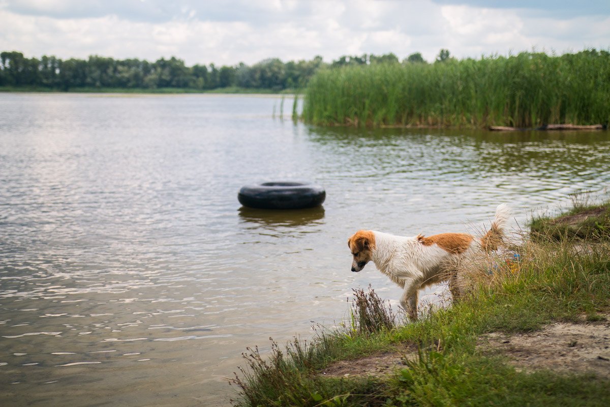 Совсем рядом есть пляж, на котором продолжают купаться Совсем рядом есть пляж, на котором продолжают купаться