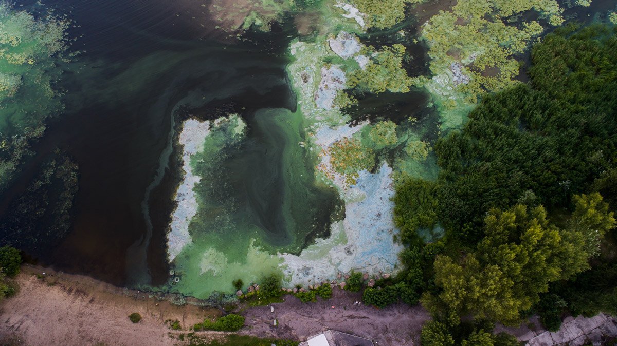 Днепр, не болей Днепр, не болей