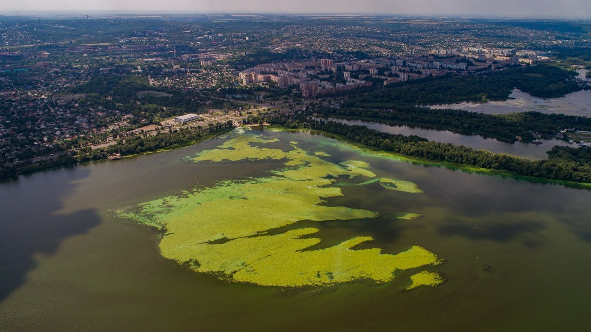 Причиной может быть глобальное потепление Причиной может быть глобальное потепление