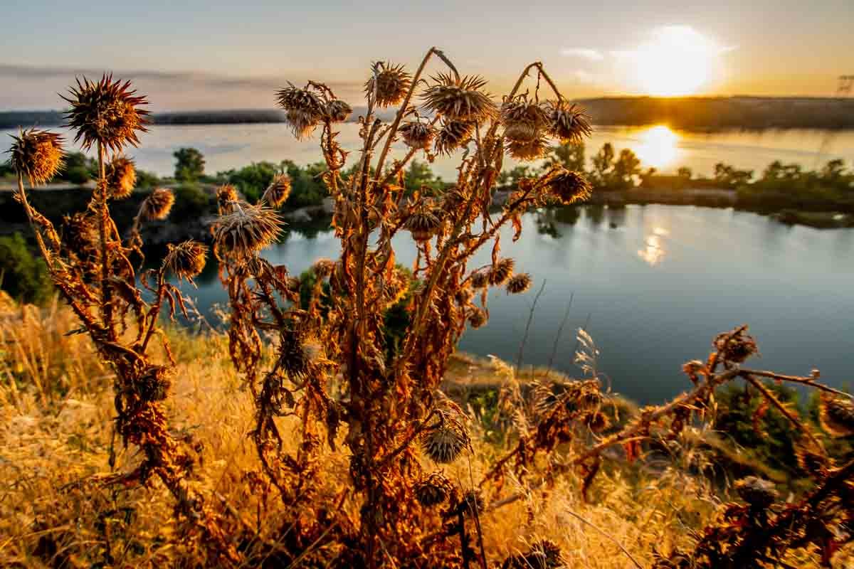 Красота — это вечность, длящаяся мгновение