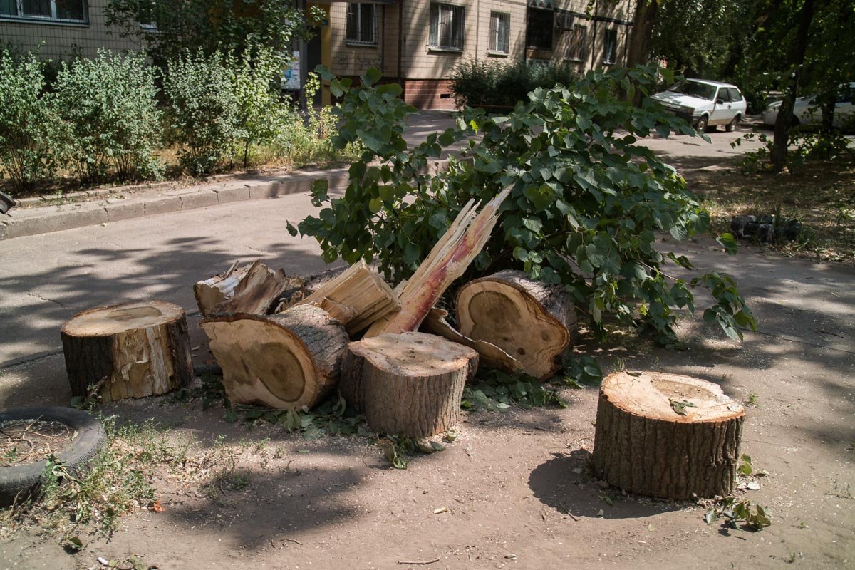 Опасность "расчленили" и собрали в кучу Опасность "расчленили" и собрали в кучу