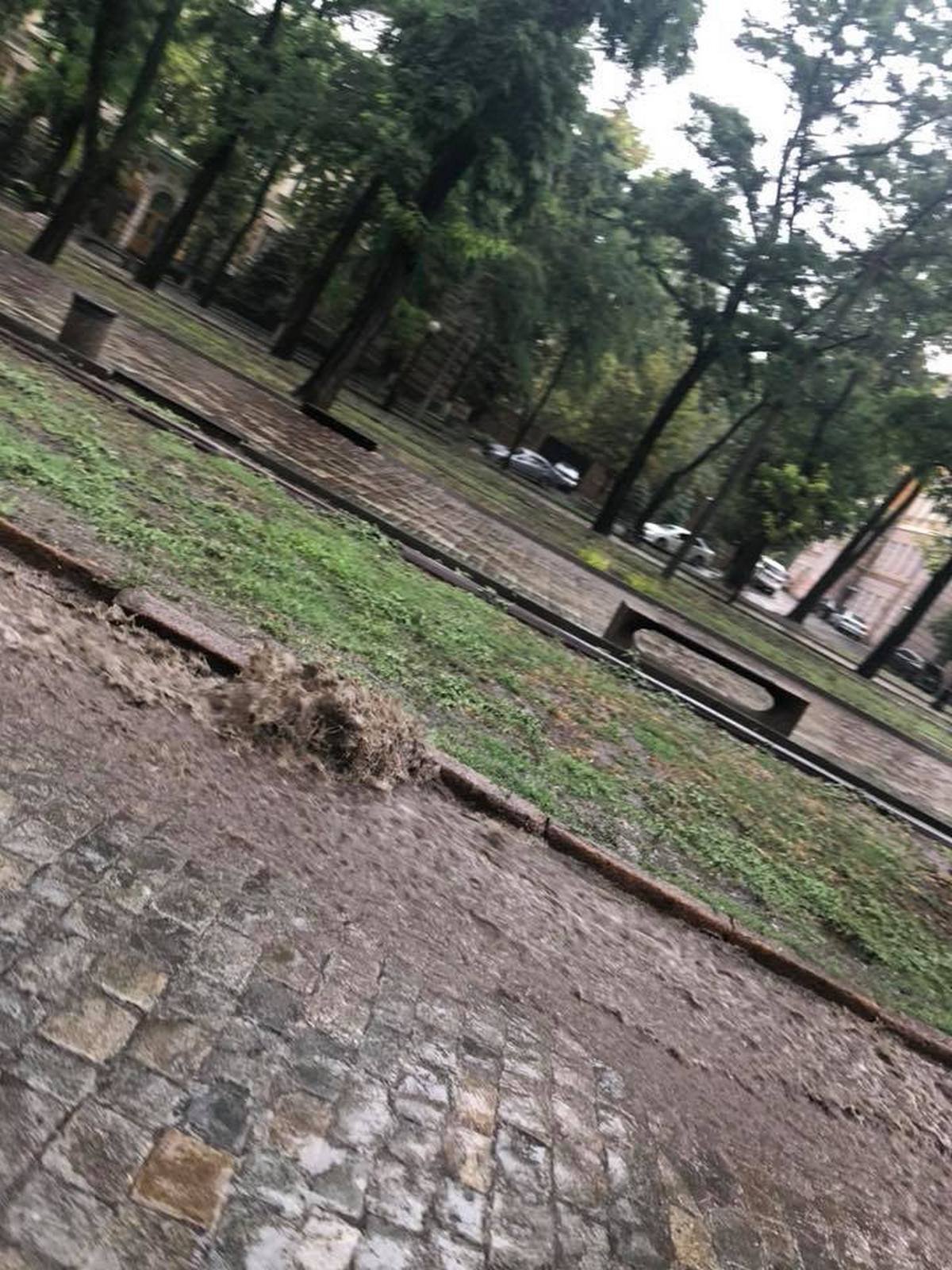 Из ливневок в центре города плещут грязевые фонтаны Из ливневок в центре города плещут грязевые фонтаны