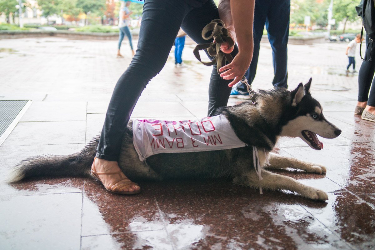 И мы, и животные - одной крови И мы, и животные - одной крови