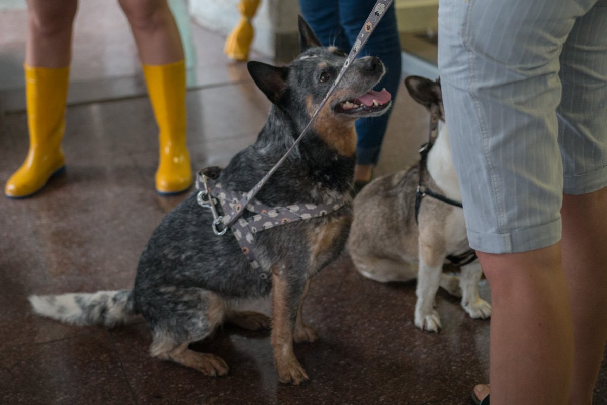 Никто из них не заслуживает жестокого обращения к себе Никто из них не заслуживает жестокого обращения к себе