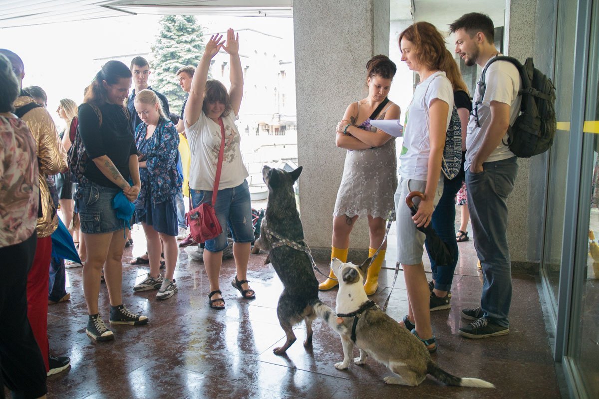 Под стенами городского совета собралось чуть больше дюжины участников акции Под стенами городского совета собралось чуть больше дюжины участников акции