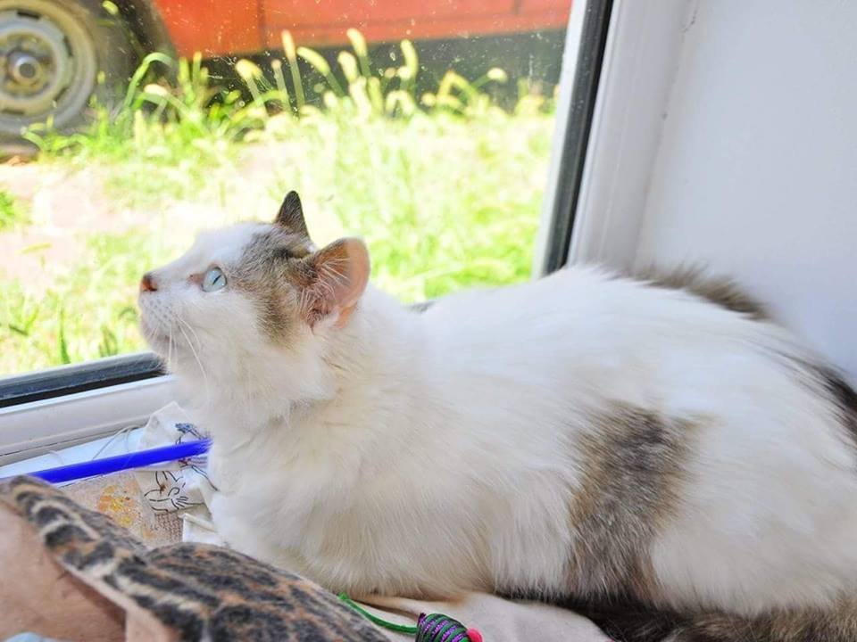 Трогательная и нежная девочка готова стать чьим-то счастьем Трогательная и нежная девочка готова стать чьим-то счастьем