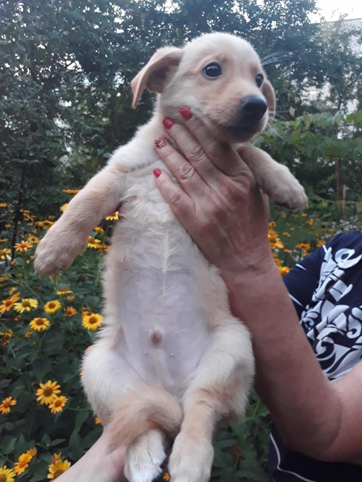Присмотритесь к малышу - он вас полюбит Присмотритесь к малышу - он вас полюбит