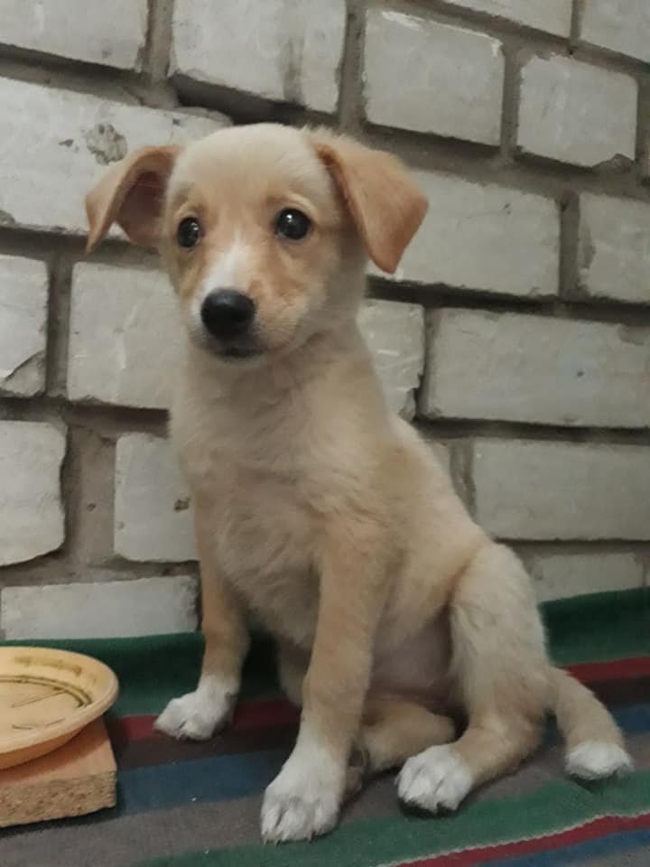 Малышка очень нуждается в семье Малышка очень нуждается в семье