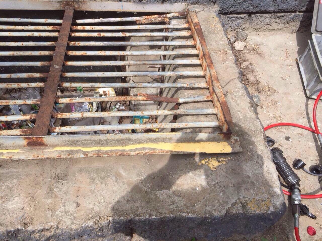 Женщина рассказала о том, что на улице Семафорной в закрытом подвале застряла кошка с котятами