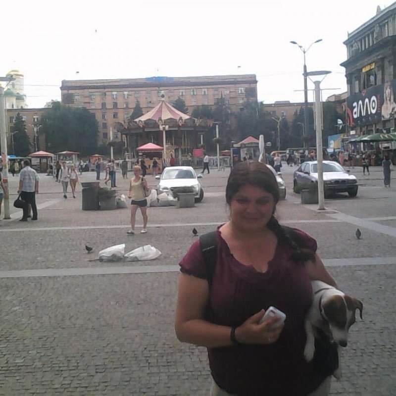 Собака явно что-то понимает Собака явно что-то понимает