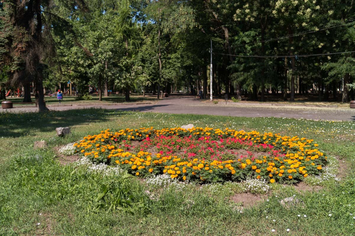 Один из немногих ярких "кусочков" на территории парка