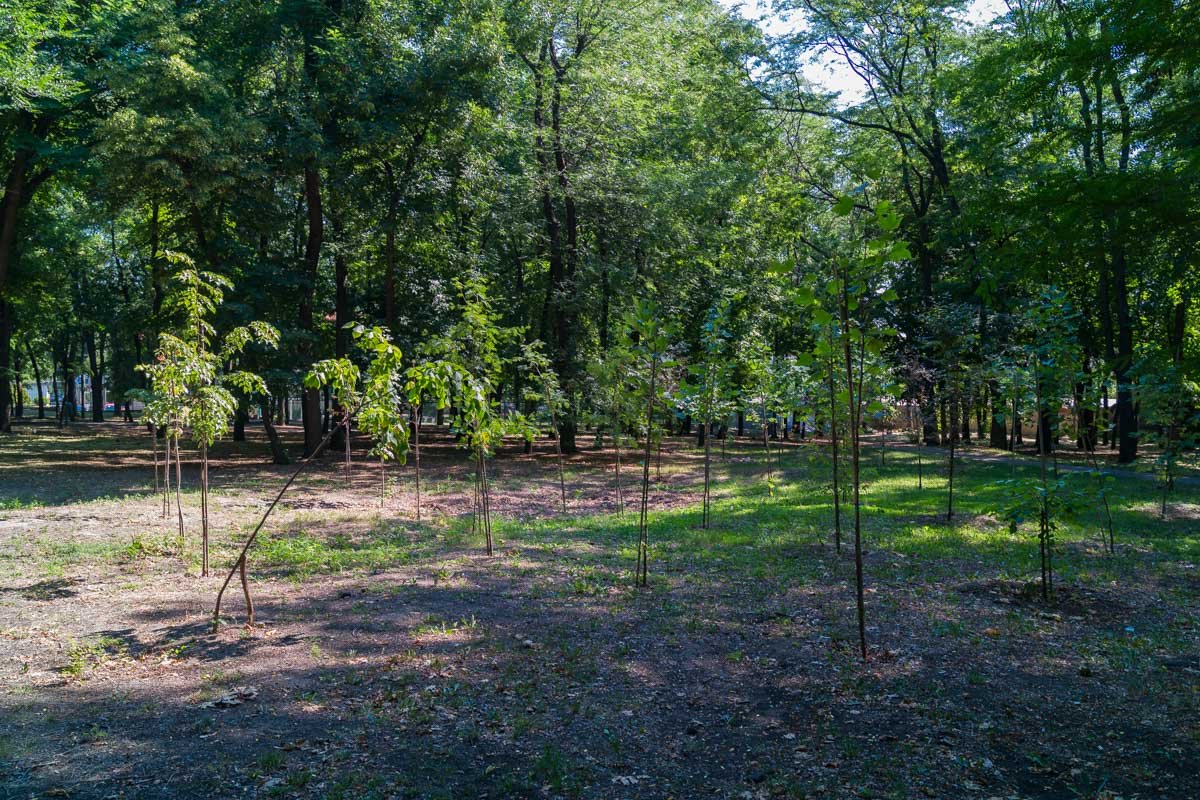 Пытаются "вдохнуть" новую жизнь в парк Хмельницкого