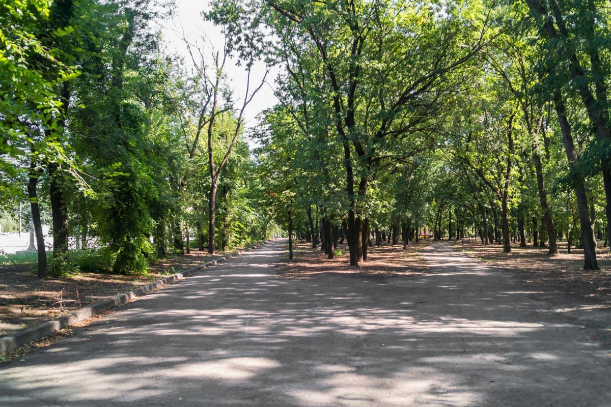 Кусочек природы в душном мегаполисе