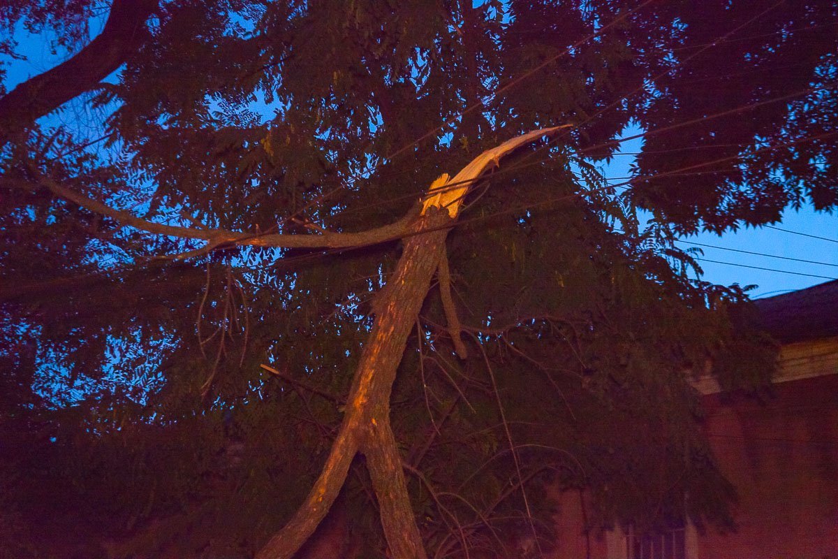 Ветка упала около 4:00 Ветка упала около 4:00