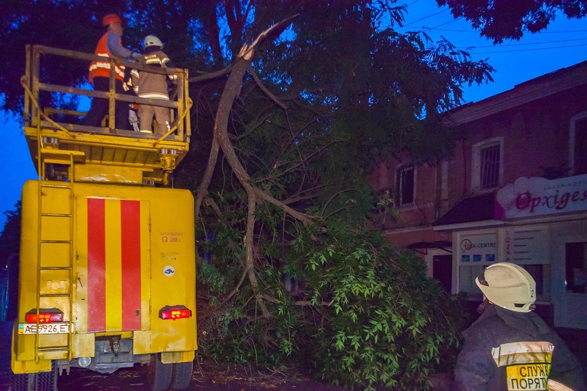 Крупная ветка упала и повисла на проводах троллейбусной контактной сети Крупная ветка упала и повисла на проводах троллейбусной контактной сети