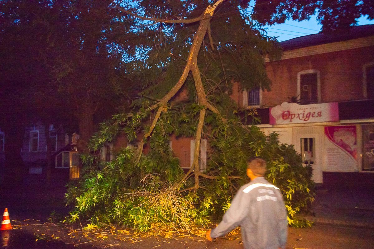 Ветку распилили на части и убрали Ветку распилили на части и убрали