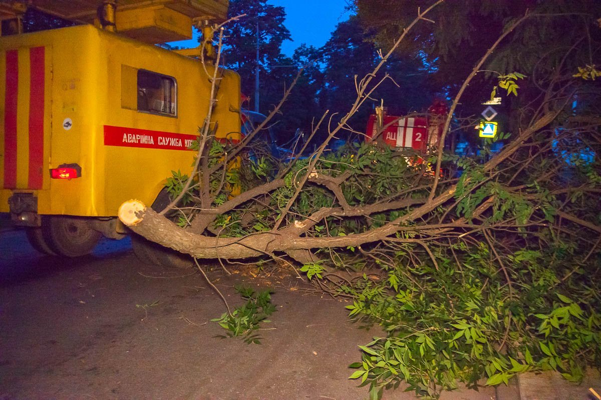 Фото: Влад Лестев Фото: Влад Лестев
