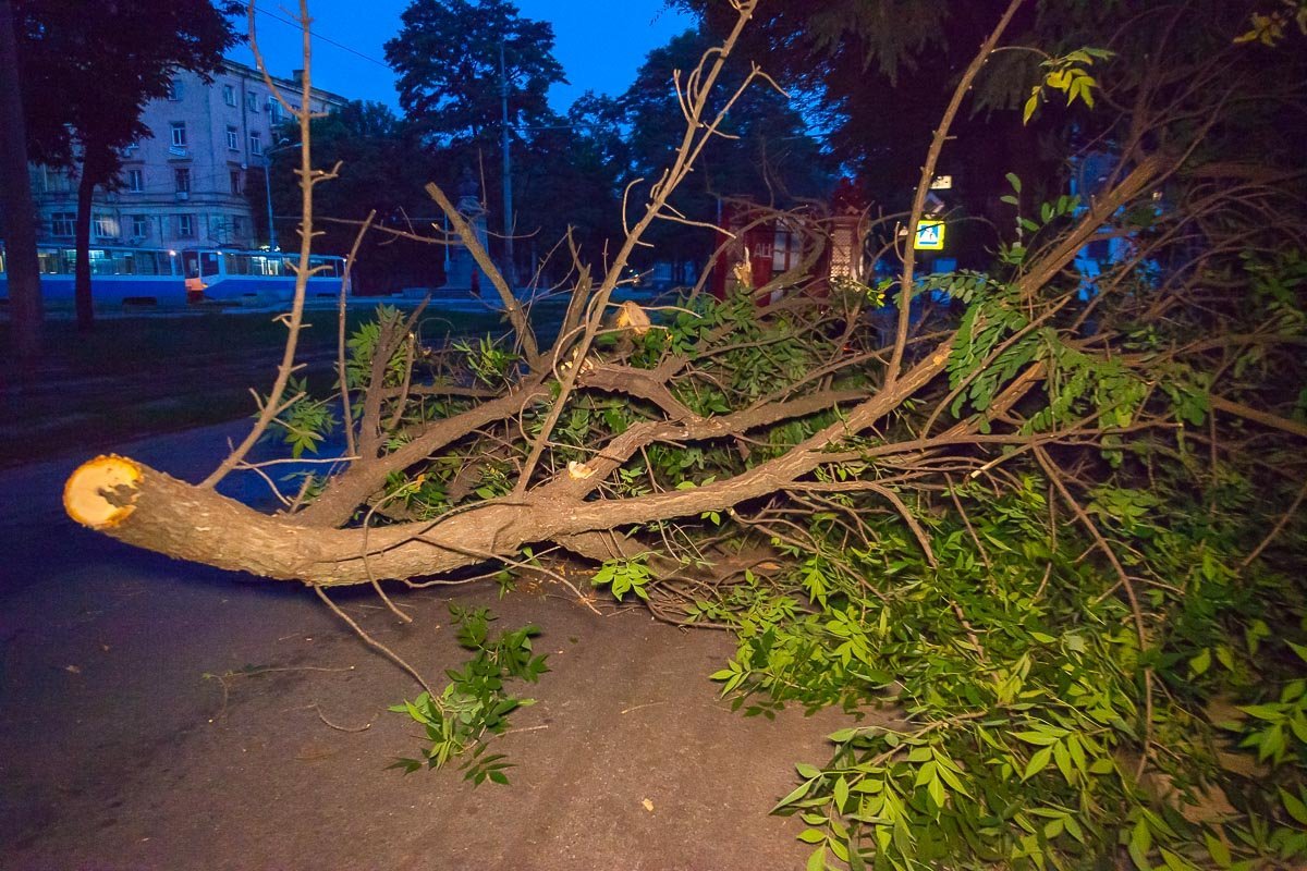 Сейчас движению электротранспорта на этом участке дороги ничего не мешает Сейчас движению электротранспорта на этом участке дороги ничего не мешает