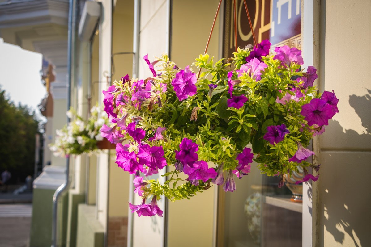 На городских сайтах жители Днепра судачат о судьбе этого здания, пересказывая легенды и байки На городских сайтах жители Днепра судачат о судьбе этого здания, пересказывая легенды и байки