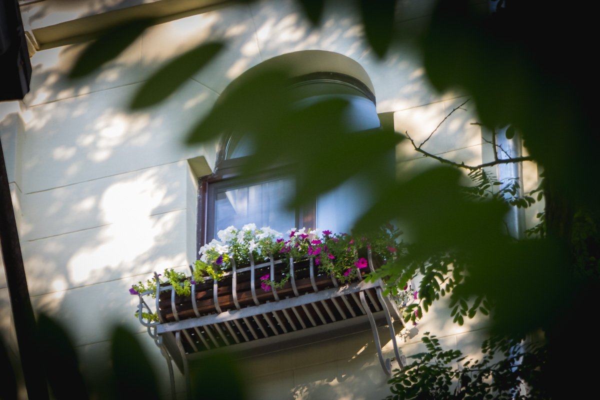 Кто-то утверждает, что по крыше, вокруг башни гуляет смотровой - страж Днепра Кто-то утверждает, что по крыше, вокруг башни гуляет смотровой - страж Днепра