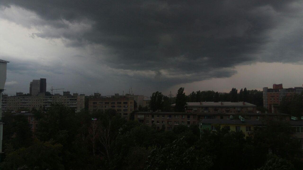 Дожди. Неделю напролет. Навылет - через сердце - звуки Паденья капель. Льет и льет. Я воду собираю в руки,